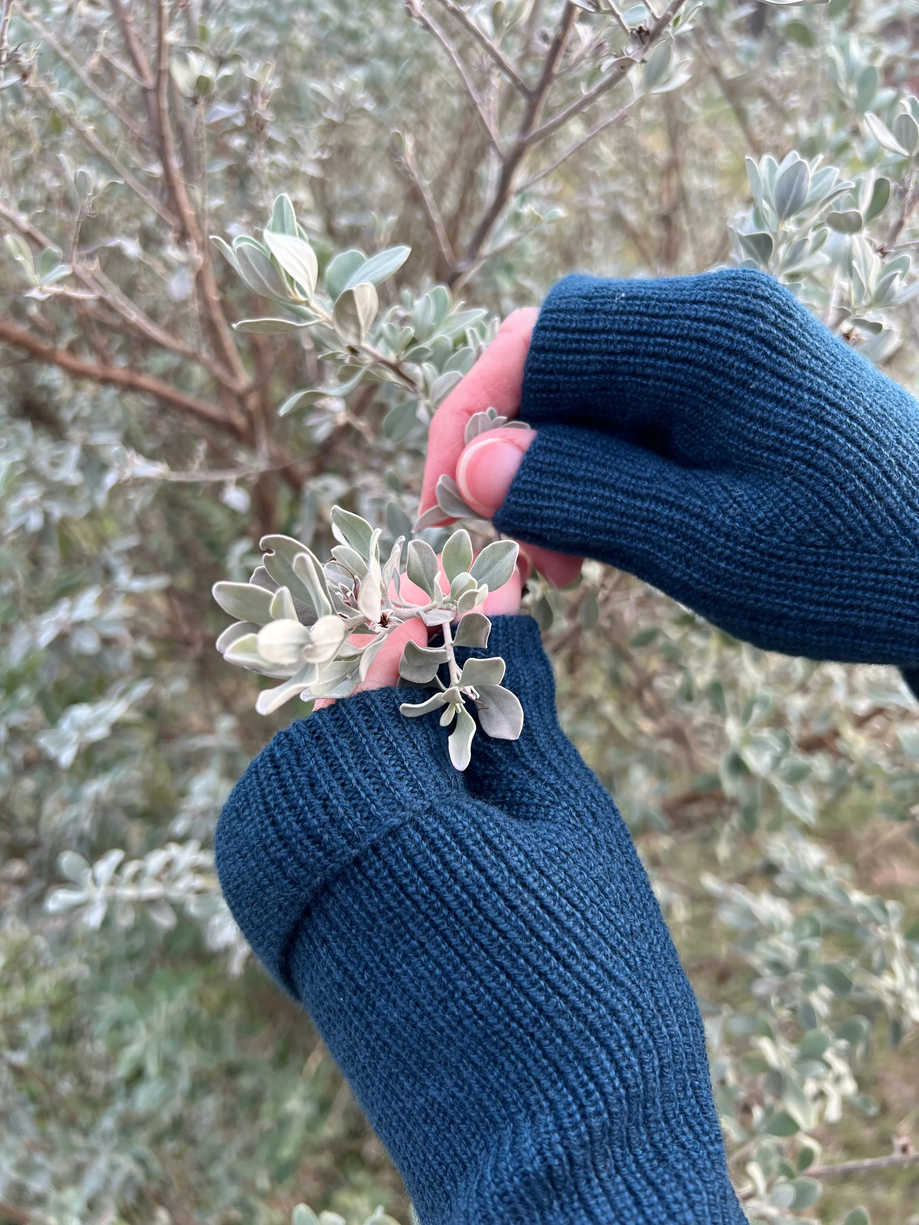 Cashmere Fingerless Gloves