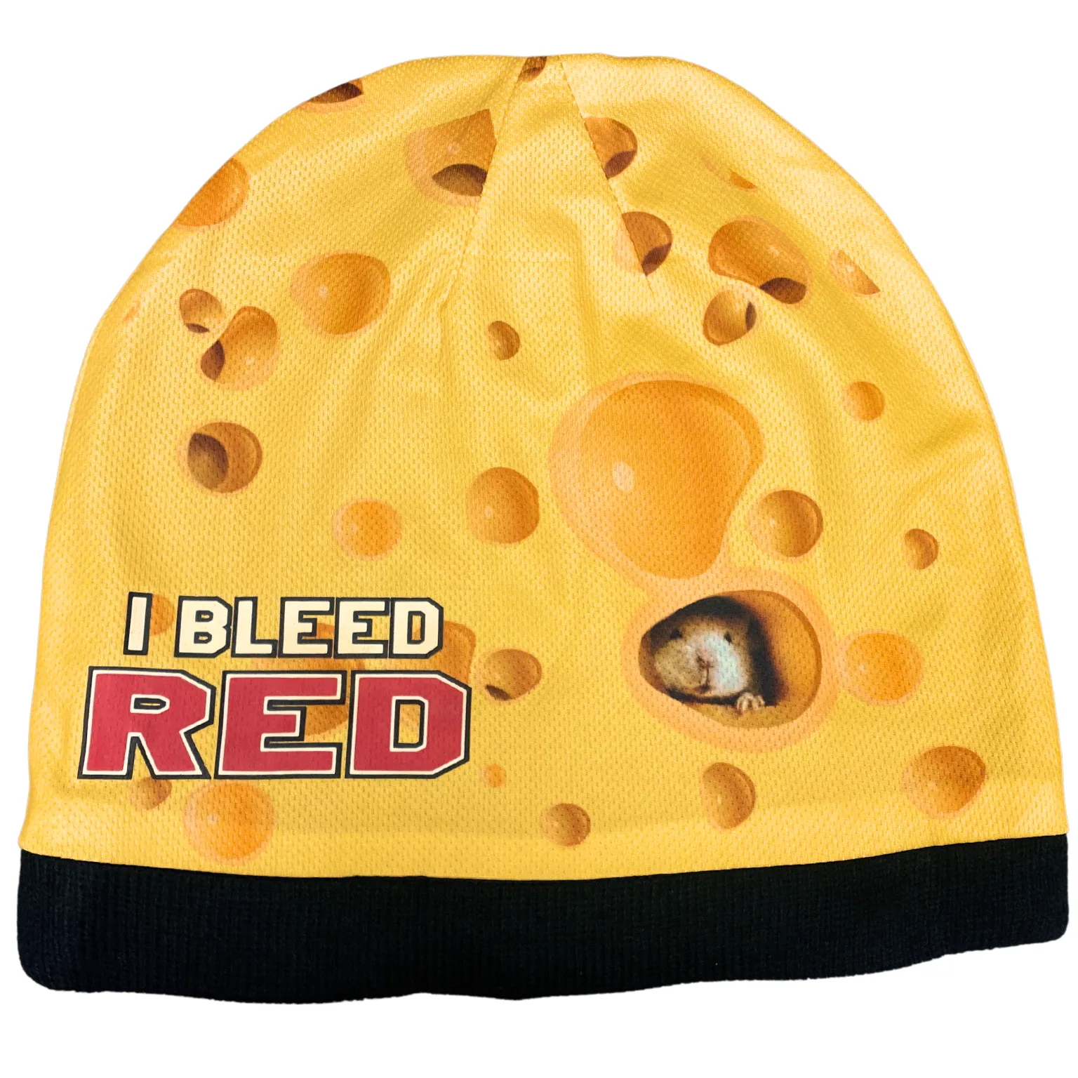 Wisconsin Cheese Head Beanie